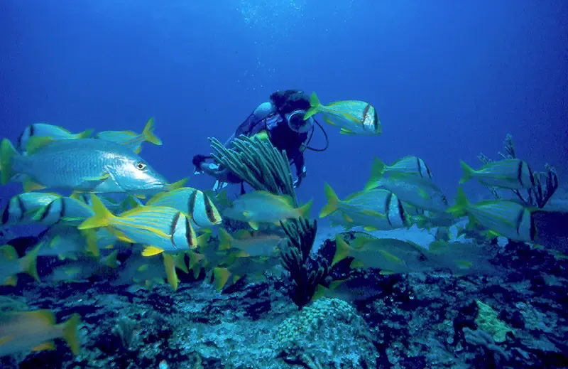Cuba-Cayo-Largo-3